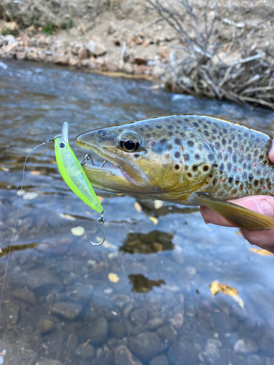 Unlocking the Thrill of Light Tackle Fishing: More Bites, More Fun!