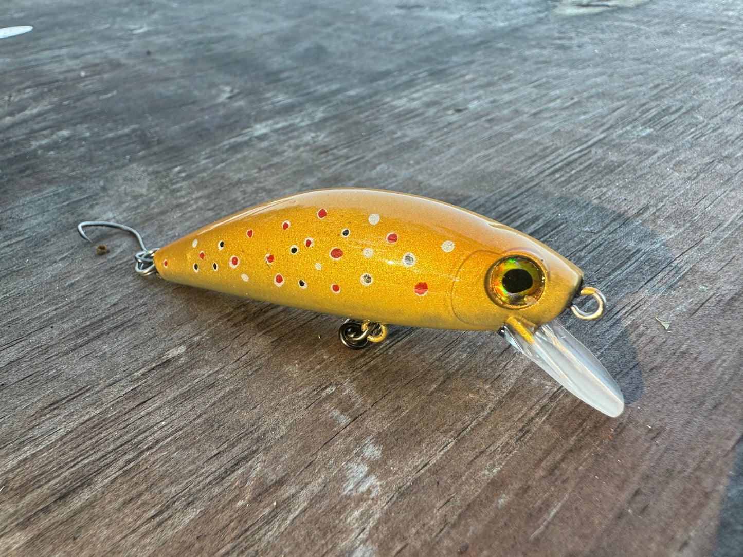 Custom Painted 3 Inch Jerkbait