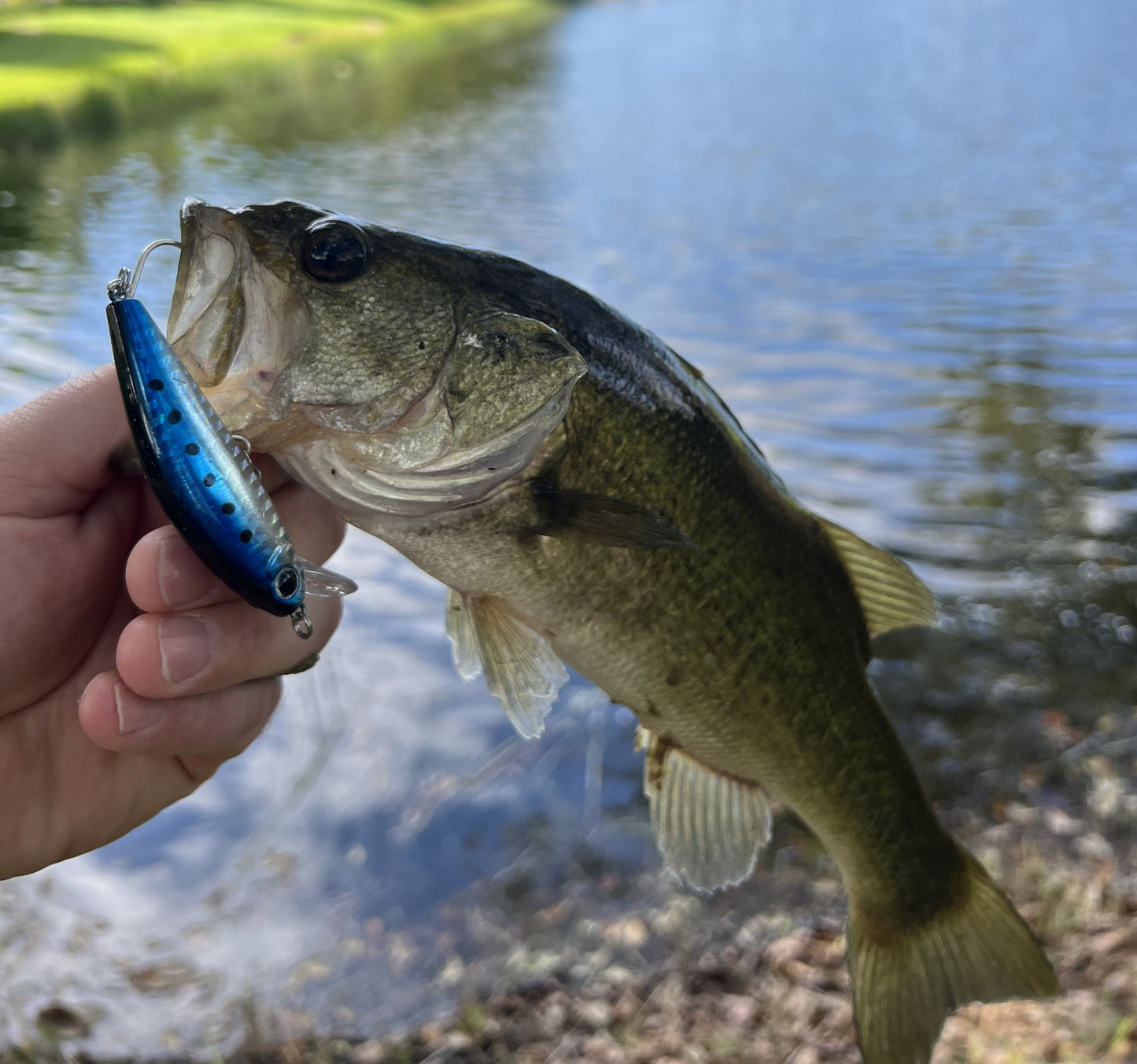 3 Inch Sinking Jerkbait