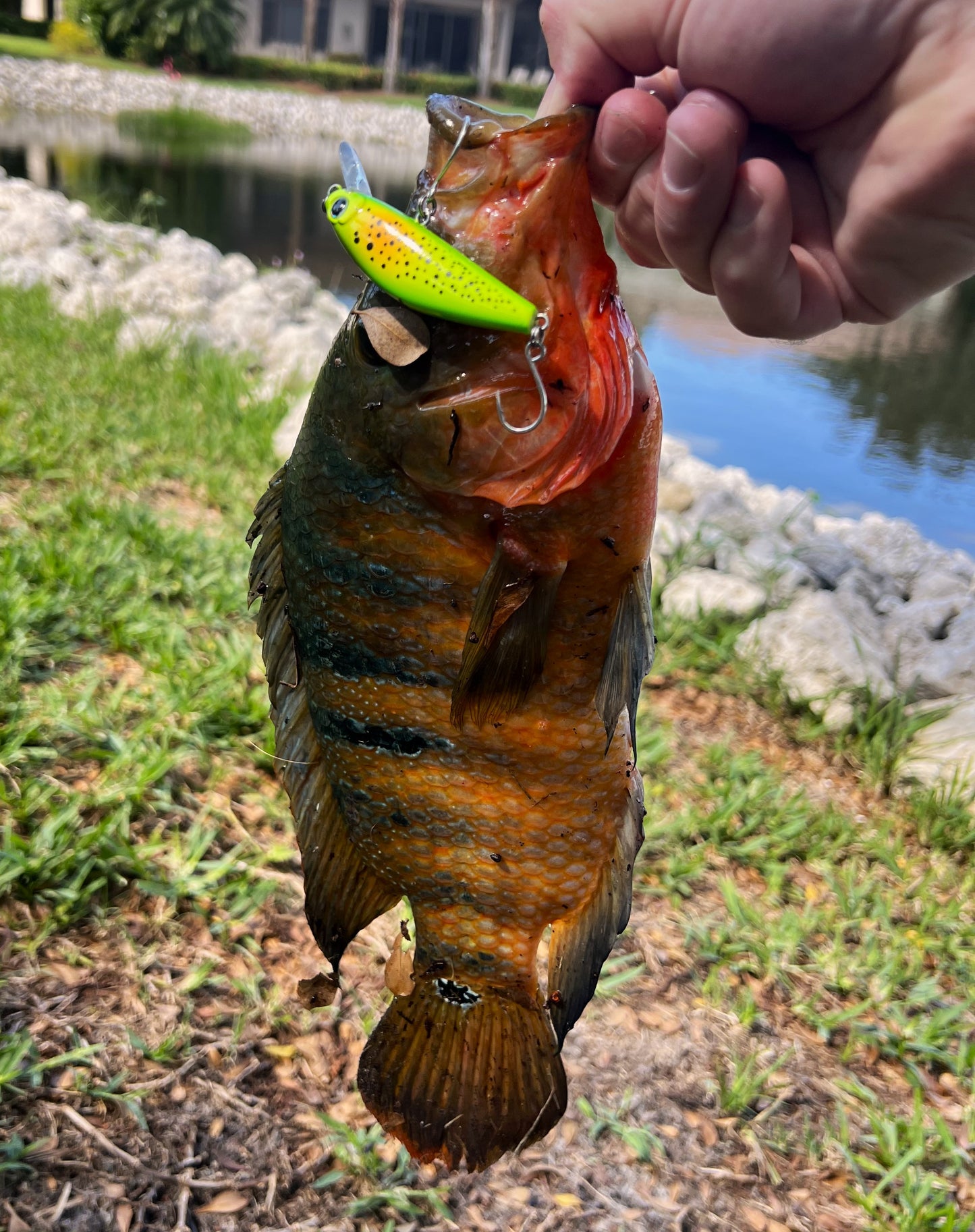 3 Inch Sinking Jerkbait