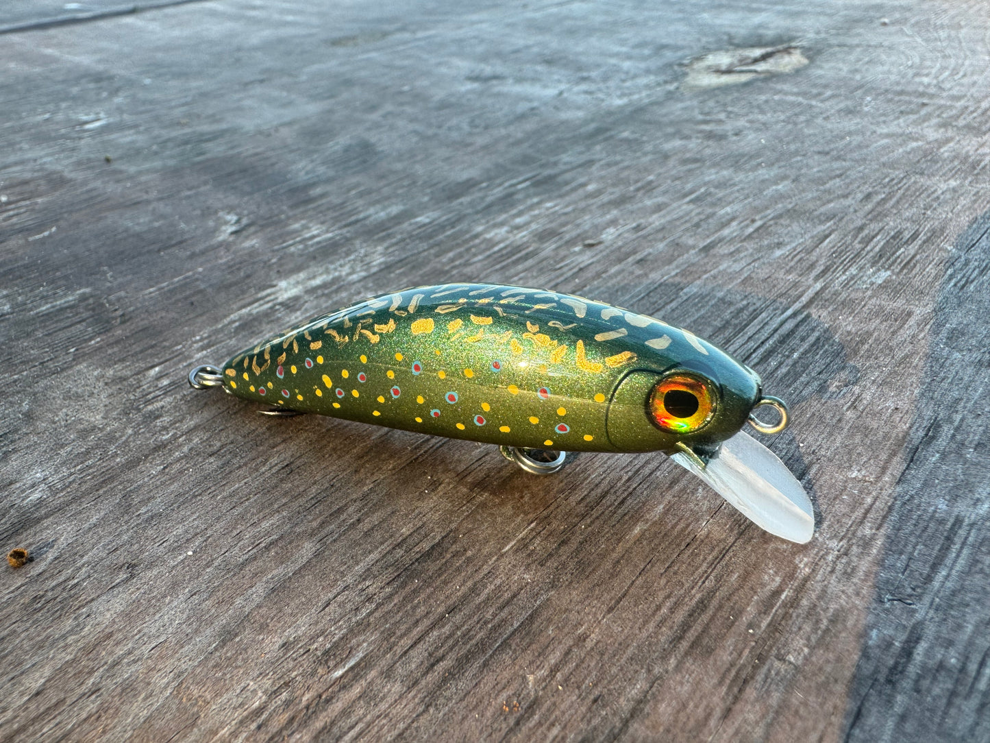 Custom Painted 3 Inch Jerkbait