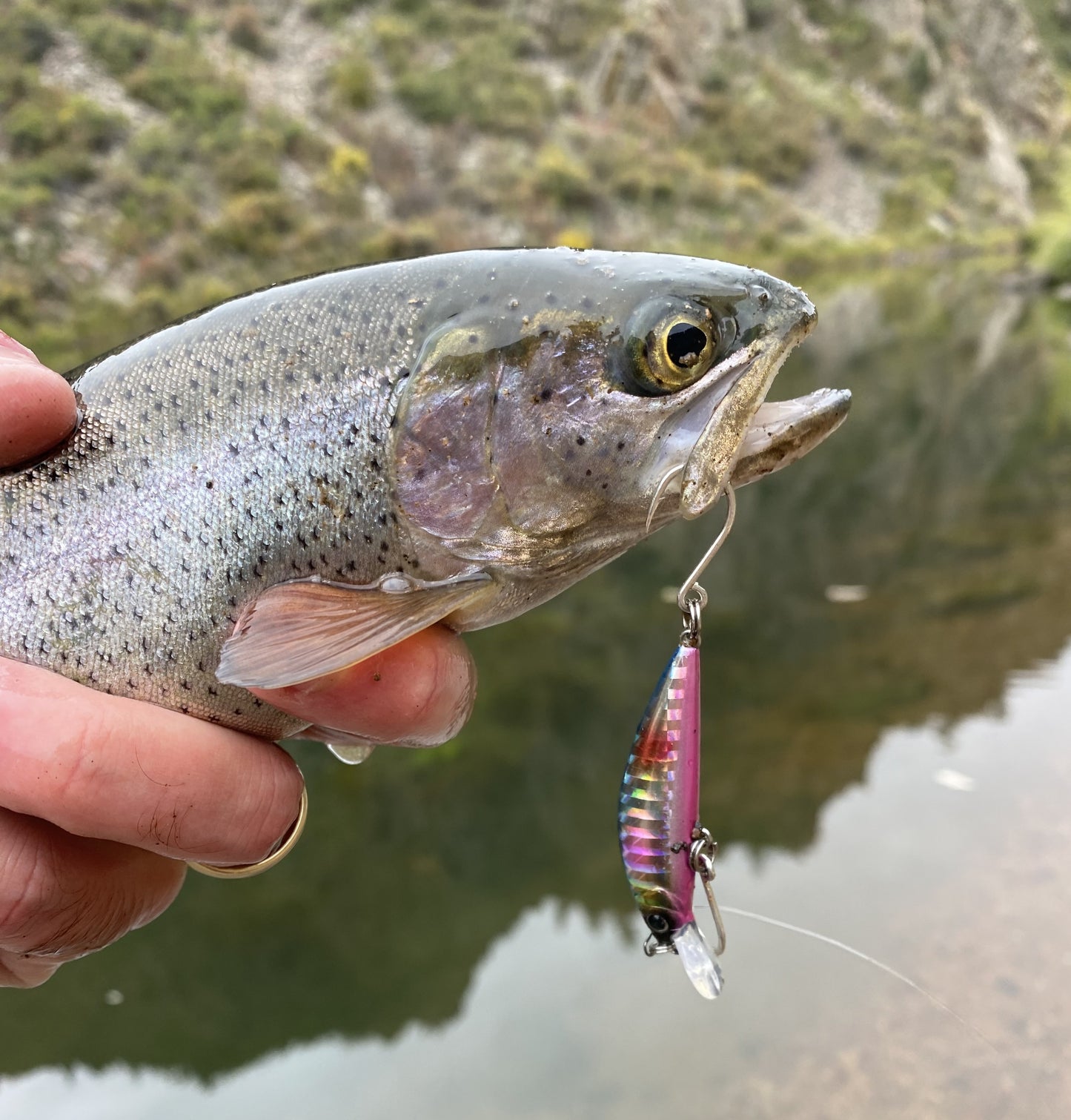 2 Inch Sinking Jerkbait
