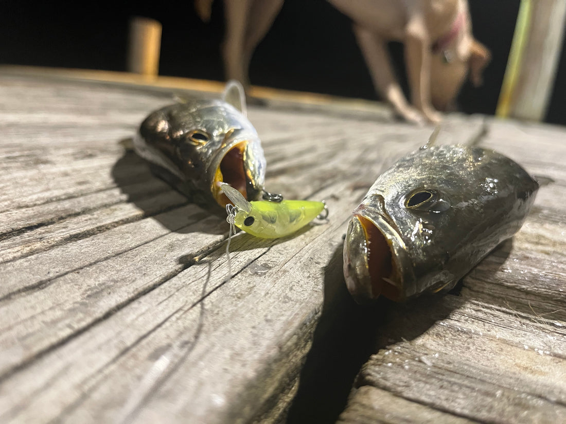 best bass fishing lures jacksonville fl Lifelike for Bass, Trout, Walleye, Predator Fish - Realistic Multi Jointed Fish Popper Swimbaits - Spinnerbaits Lure Fishing Tackle Kits - Freshwater and Saltwater Crankbaits In Search of the Right