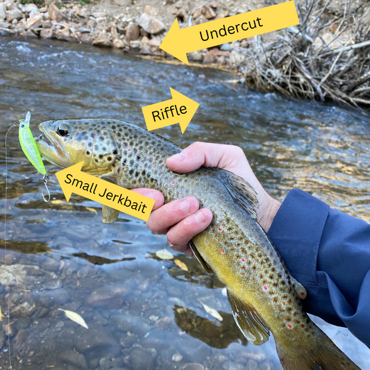 Unveiling the Secrets: Targeting Freshwater Trout in Smaller Streams and Creeks