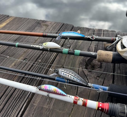 BFS Fishing: Small Lures, Big Thrills, and the Rise of Finesse Angling