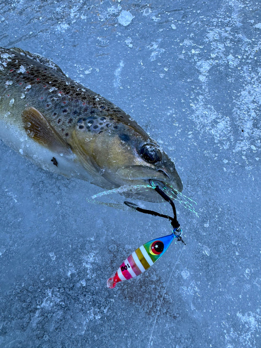 Chasing Winter Thrills: Ice Fishing for Trout with Metal Jigs