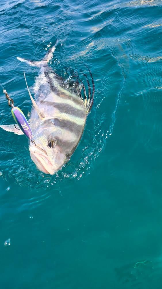 LTC Custom 90- Handmade Wooden Stickbait