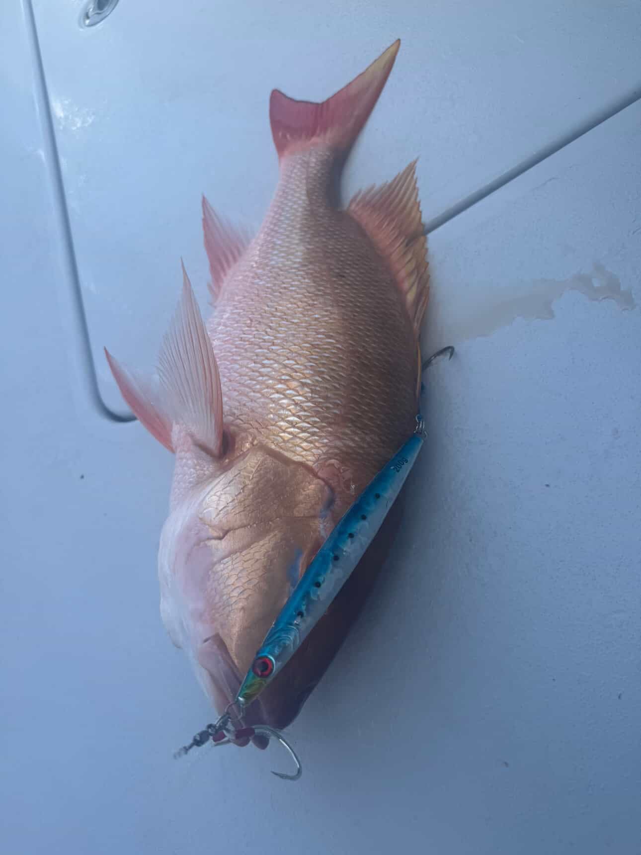Vertical Jigs