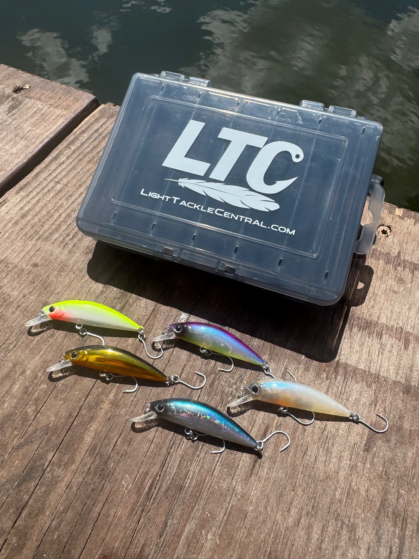 5 Pack 2 Inch Sinking Jerkbait with LTC Tackle Box