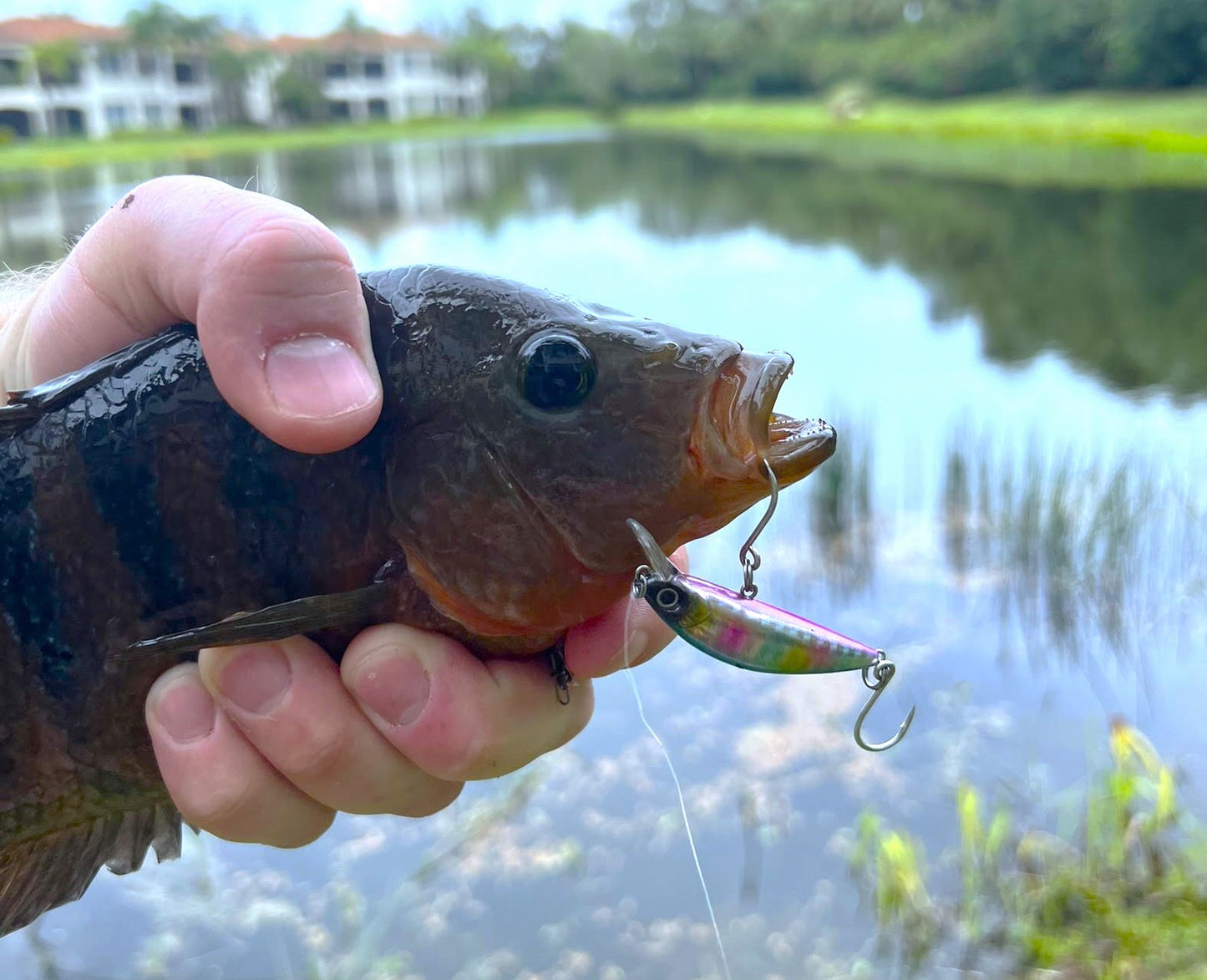 2 Inch Sinking Jerkbait