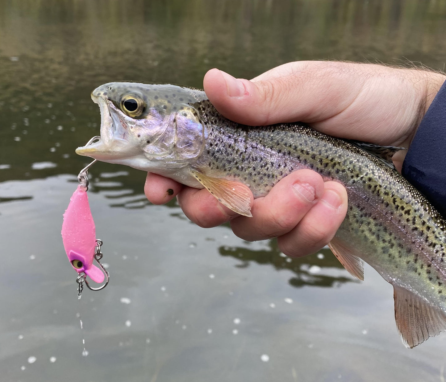 2 Inch Hybrid Sinking Crankbait